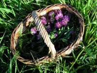 /album/decouvertes-en-balade/a3eme-tour-084-jpg1/